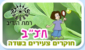 חצ''ב